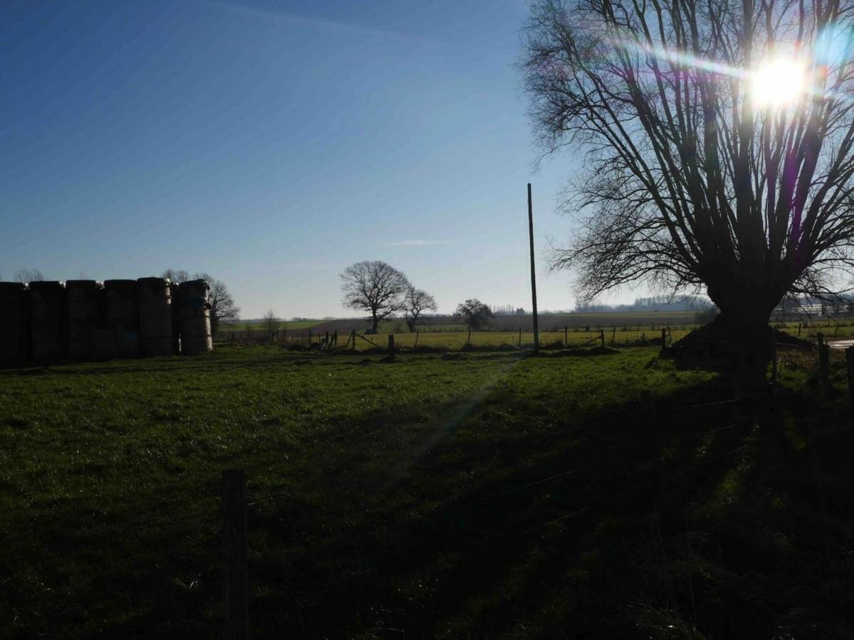 Holiday home Gite Dans Une Ecurie Renovee Avec Jardin Prive, Clim, Parking Et Wifi - Fr-1-510-150 Flines-Les-Mortagne